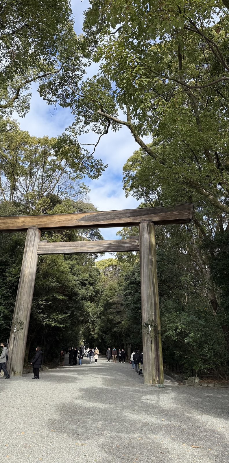 Another large wooden torii