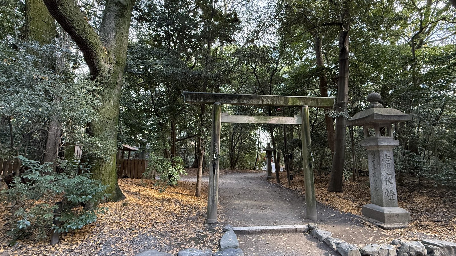 A small wooden torii on a forest path