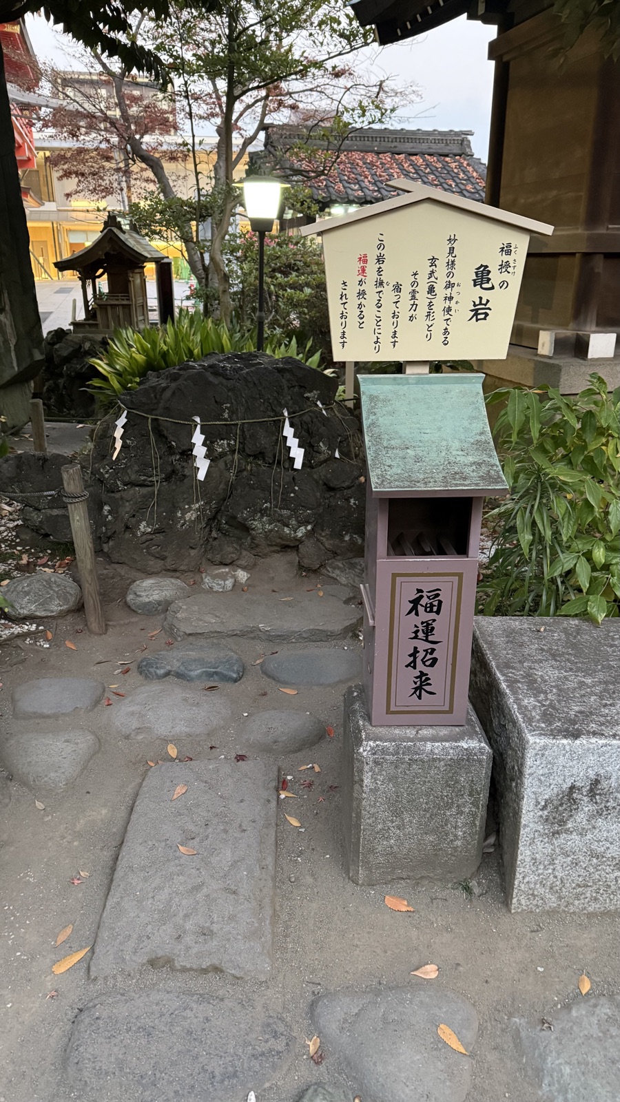 Kameiwa of Good Fortune