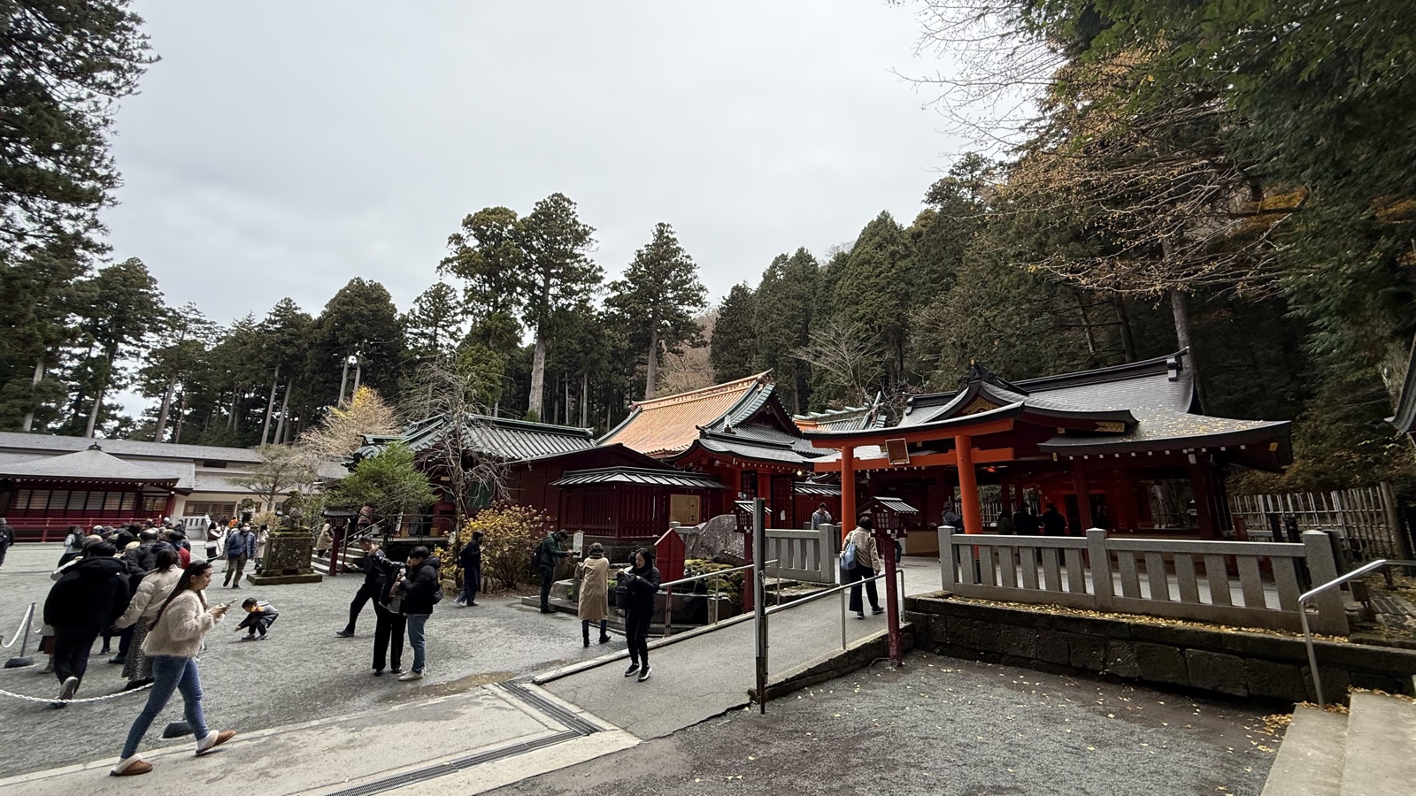 The shrine buildings nestled among cedar trees