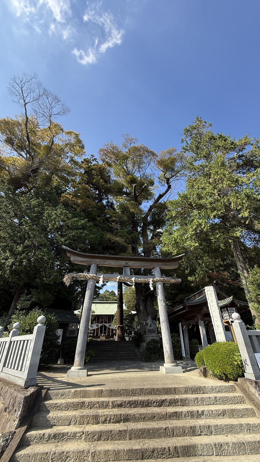 A torii hung with a shimenawa above the stone steps