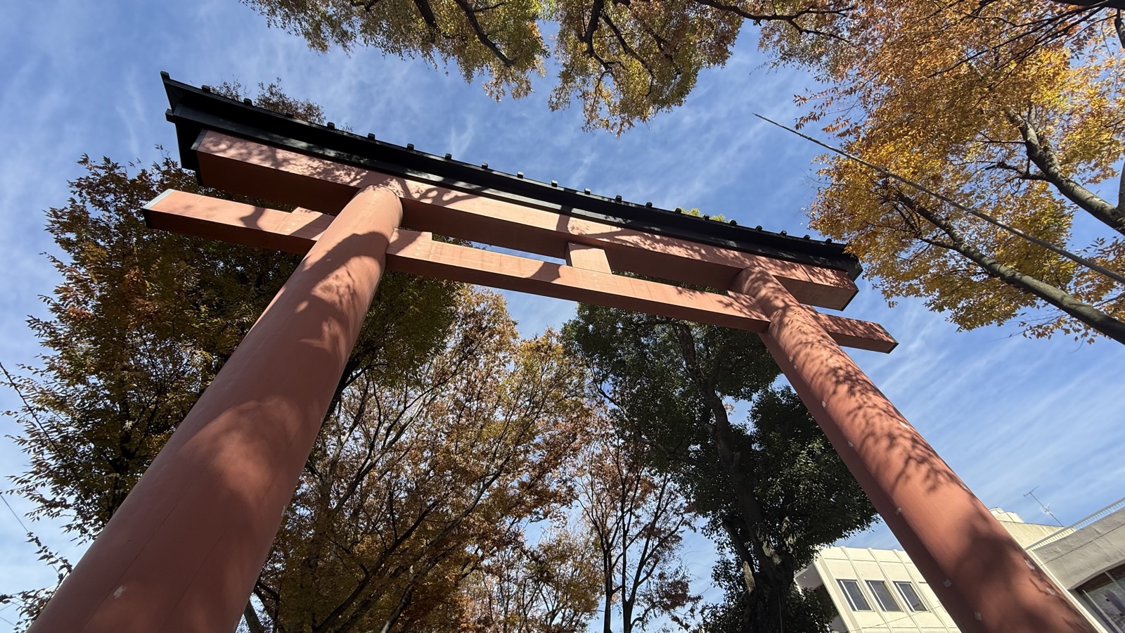 Looking up at a torii of Musashi Ichinomiya Hikawa Jinja