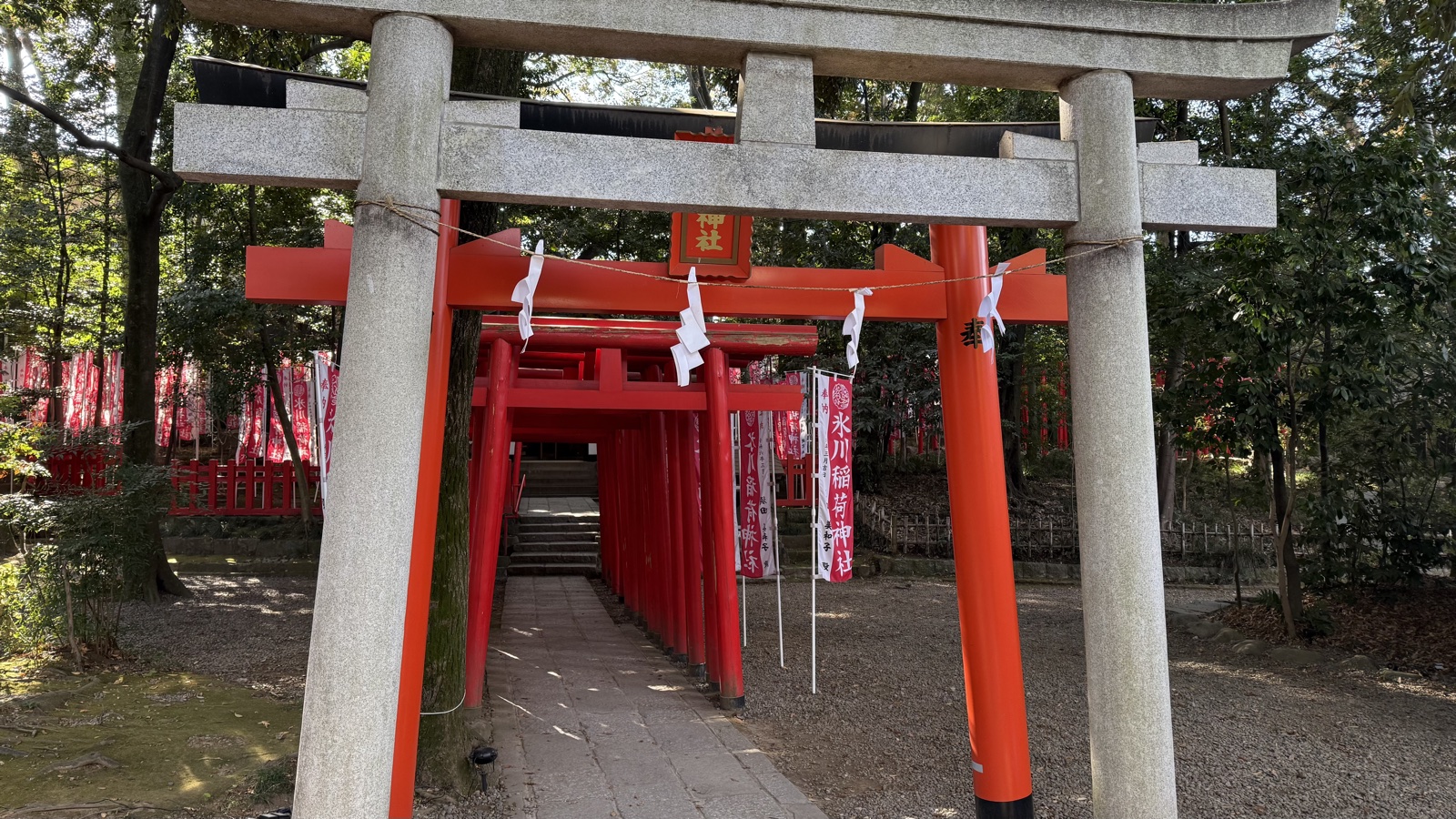 Torii of Hikawa Inari Jinja, a sub-shrine on the grounds
