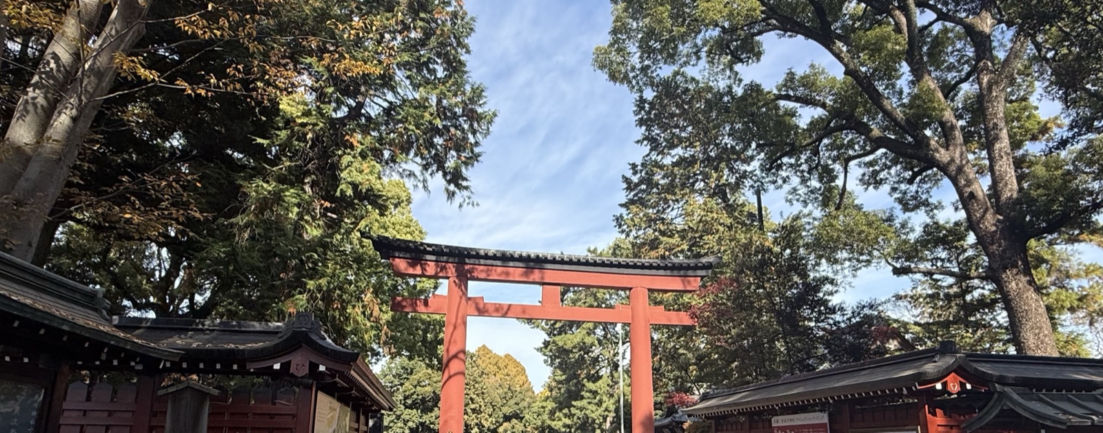 A torii along the approach