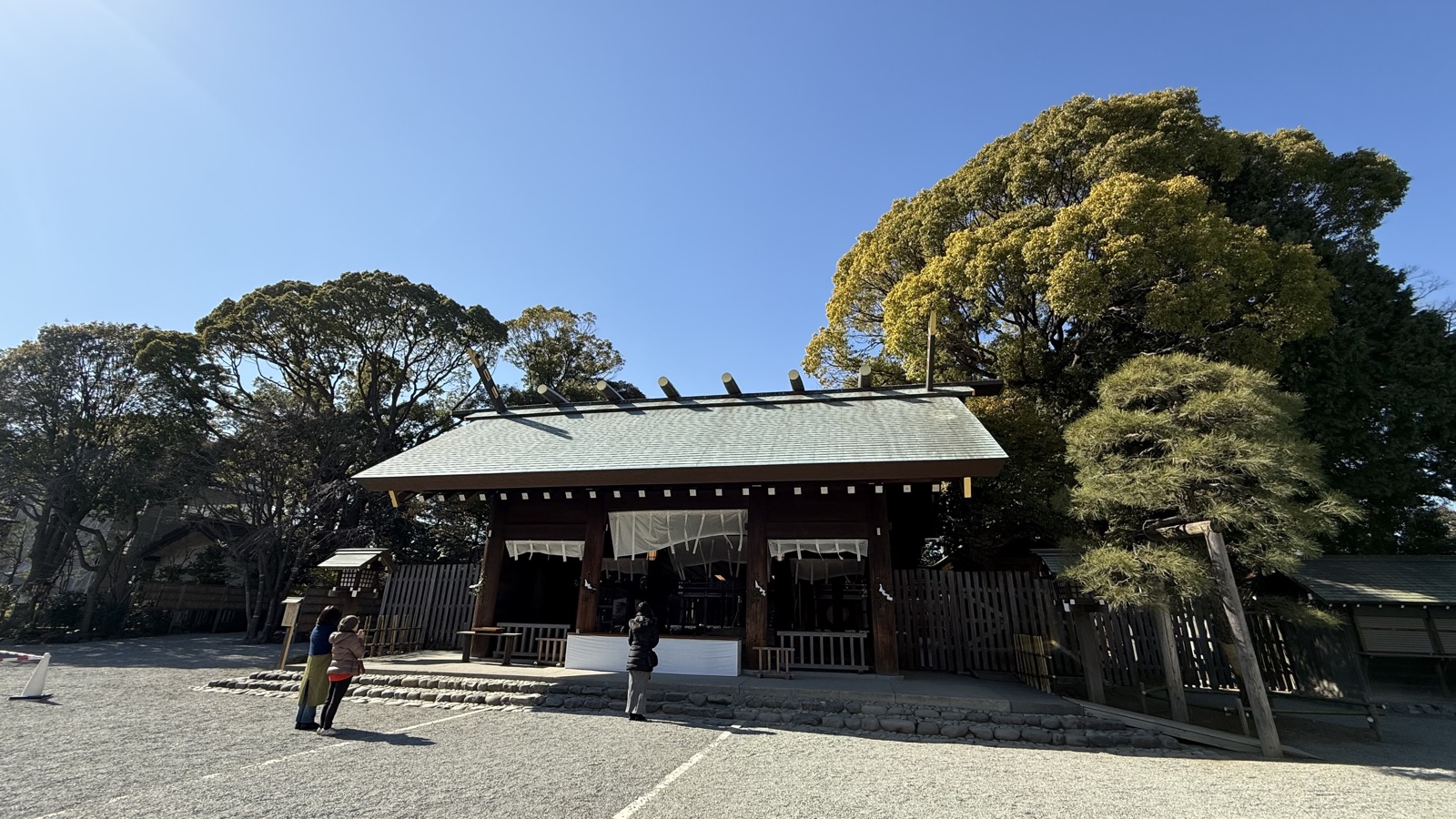 Shrine building and a towering tree