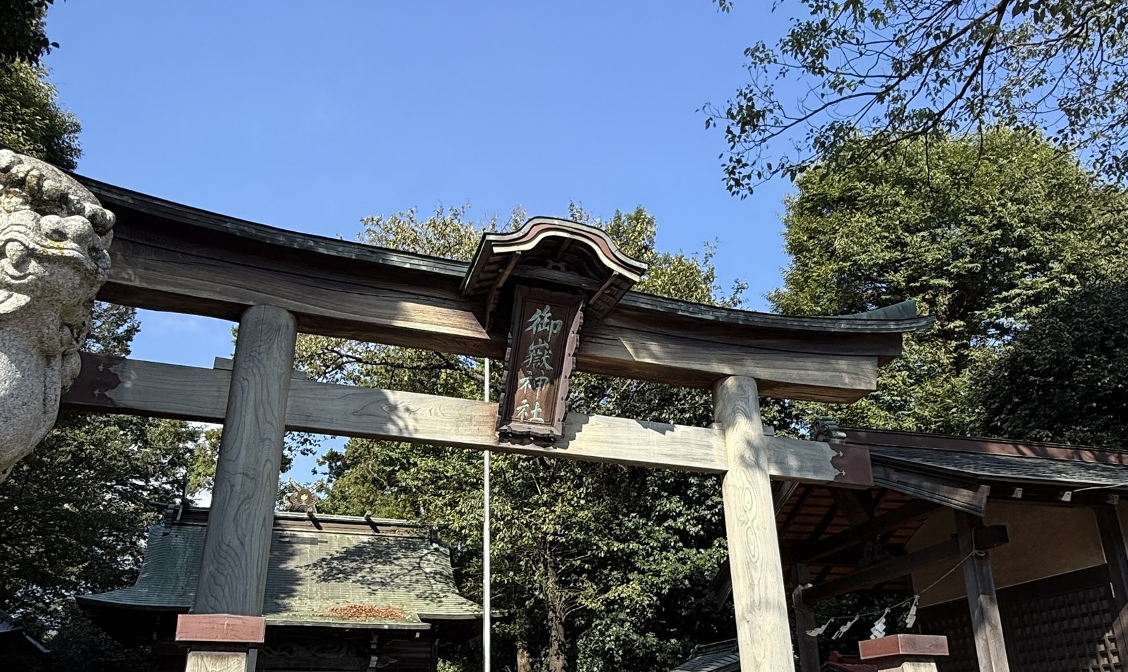 The torii of Mitake Jinja