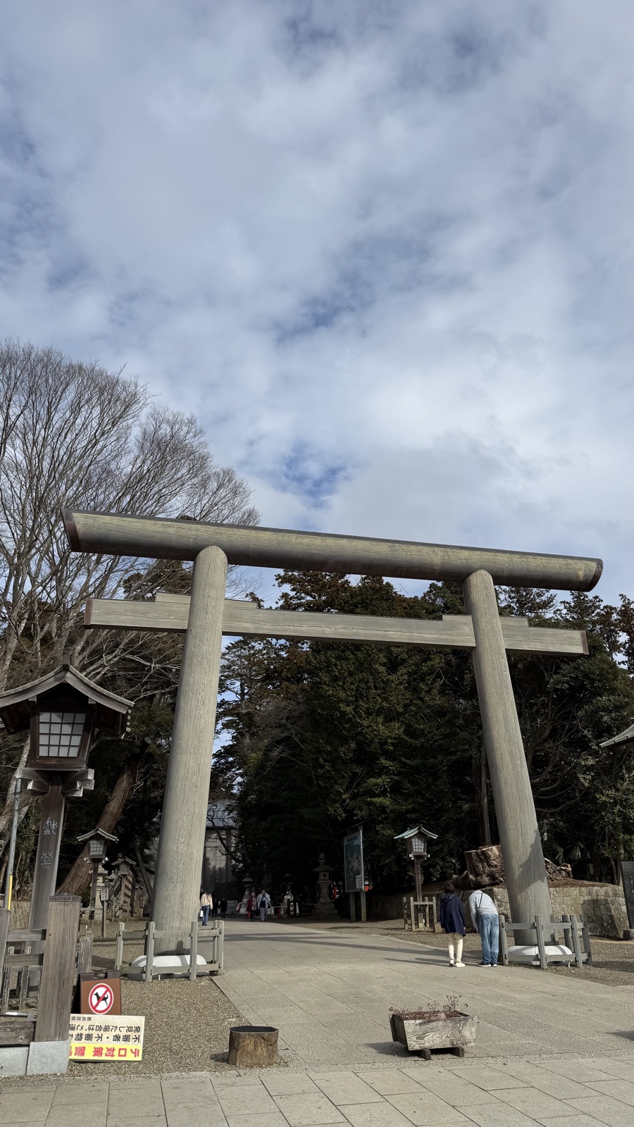 Huge wooden torii