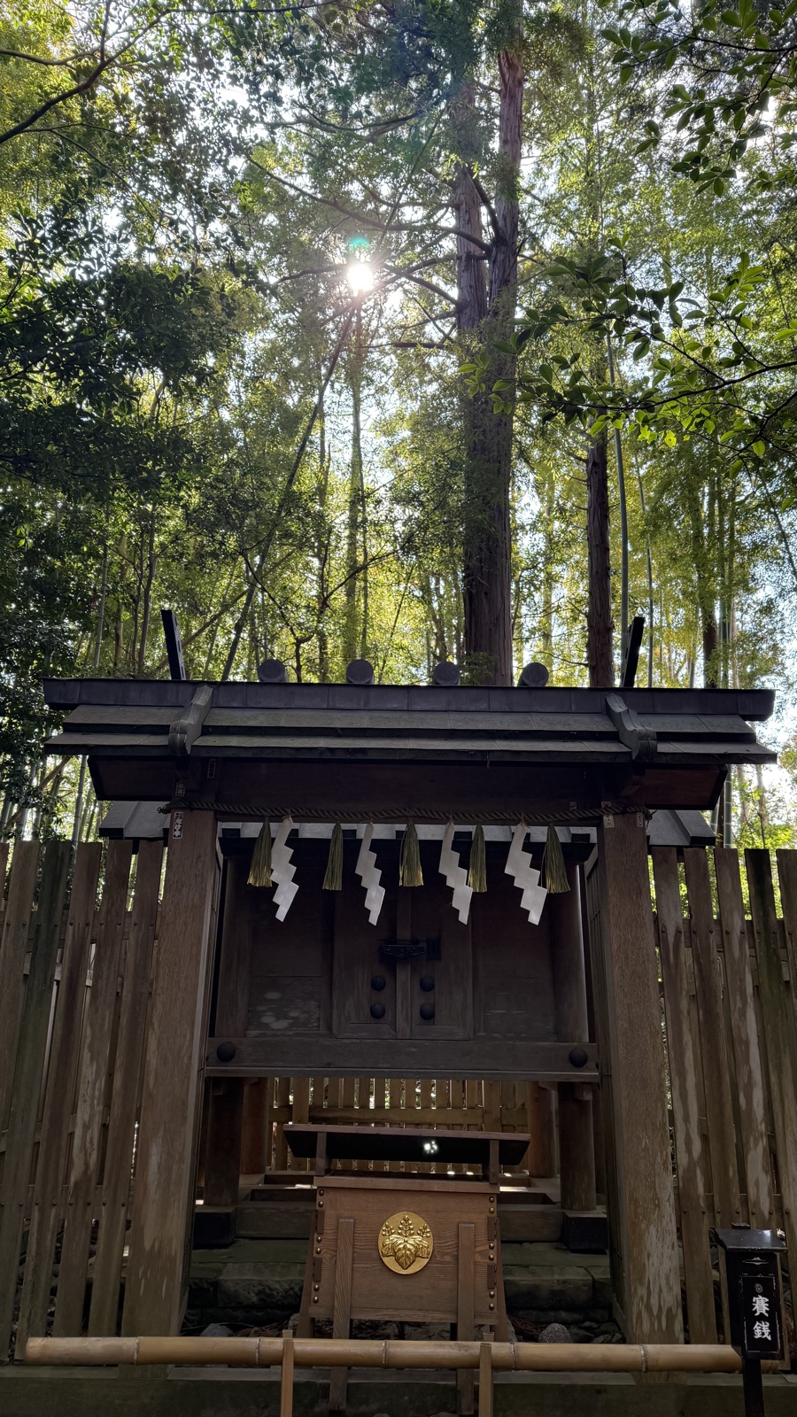 An auxiliary shrine lit through the trees