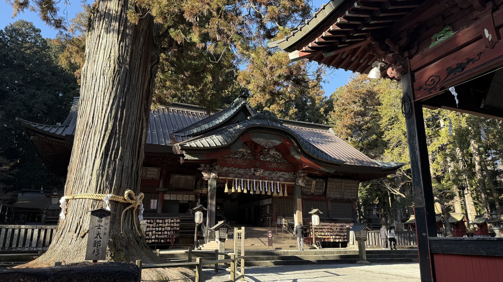 The Fuji Taro Sugi and the worship hall