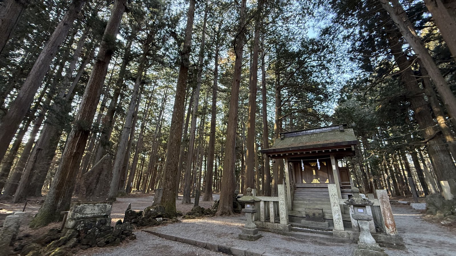 A small shrine among the cedars