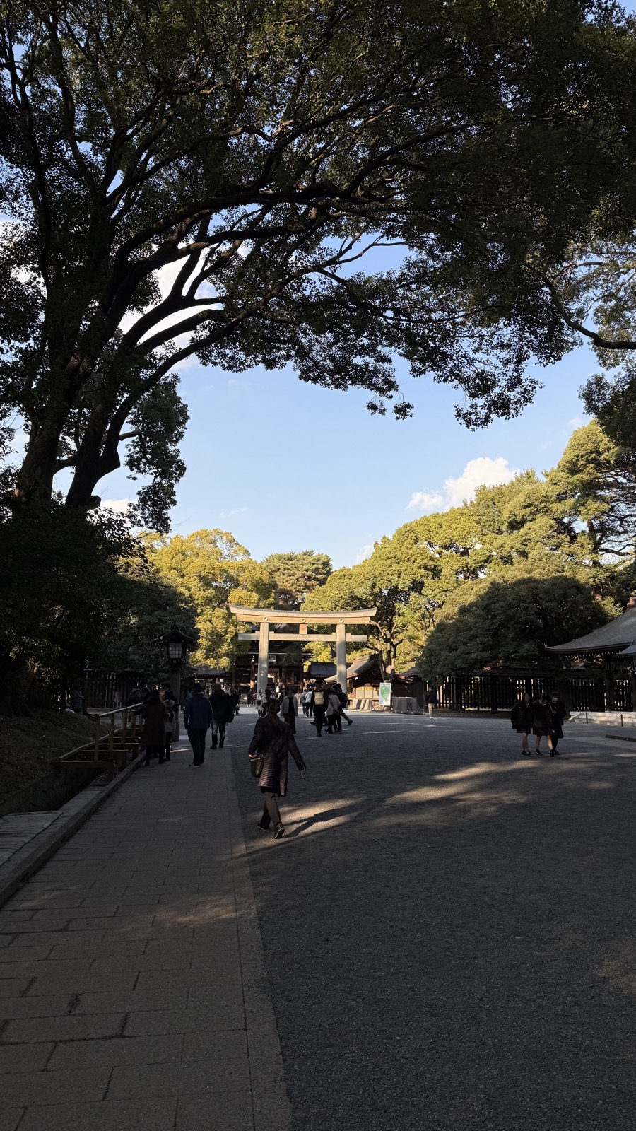 A torii glimpsed through the branches