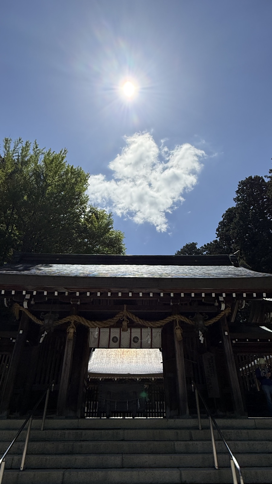 The gate and the sun