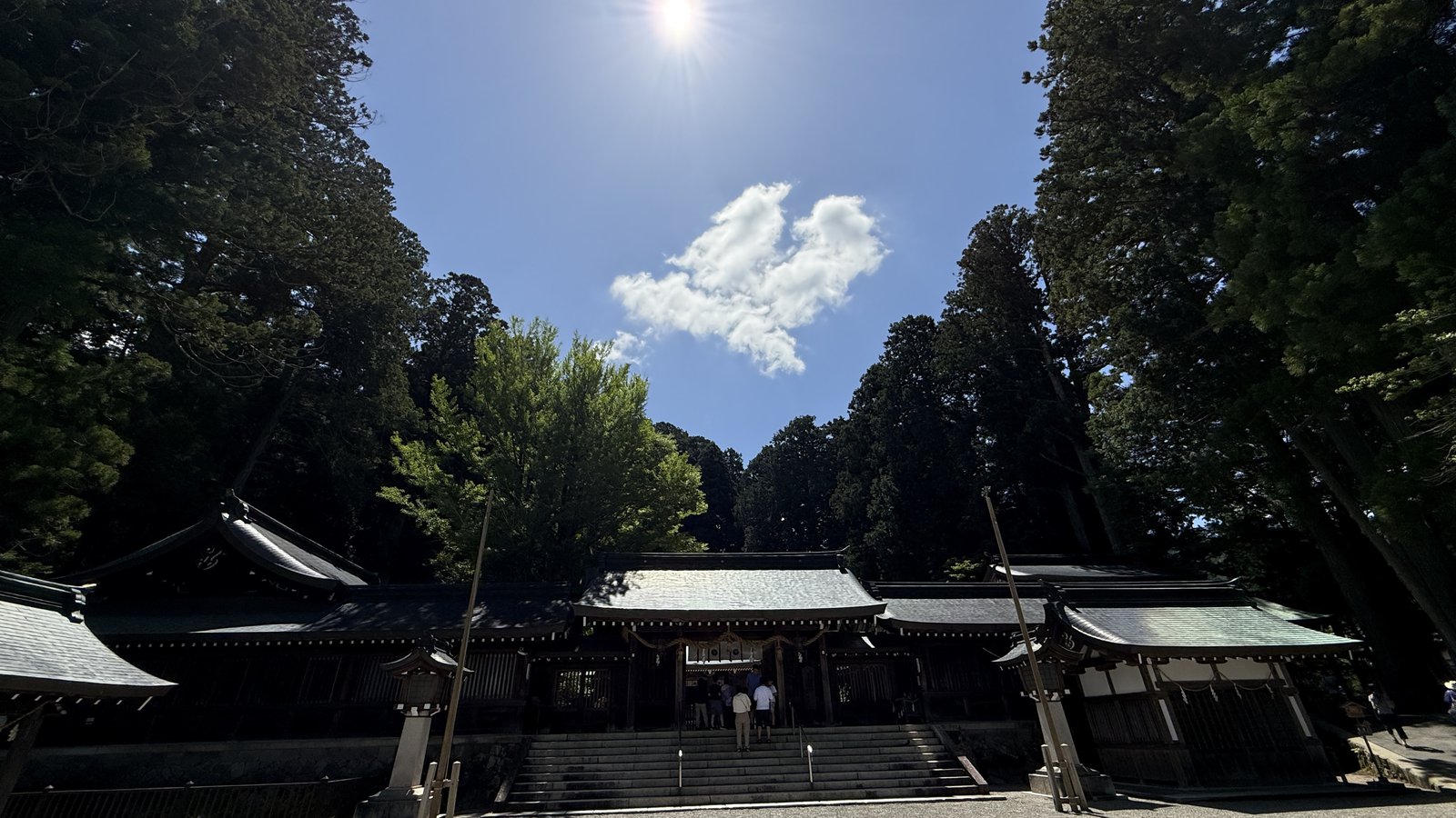The shrine buildings in a row at the top of the steps