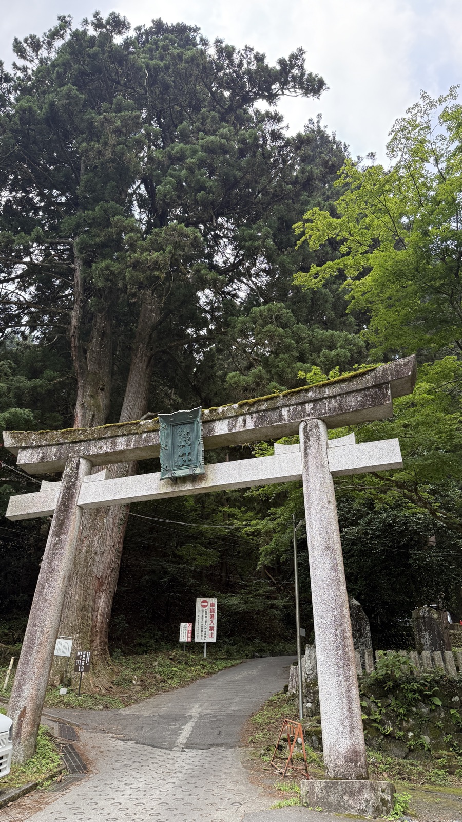 Moss-covered stone torii