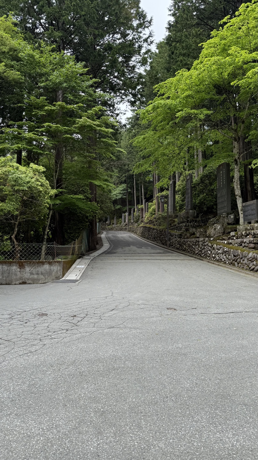 Mountain approach