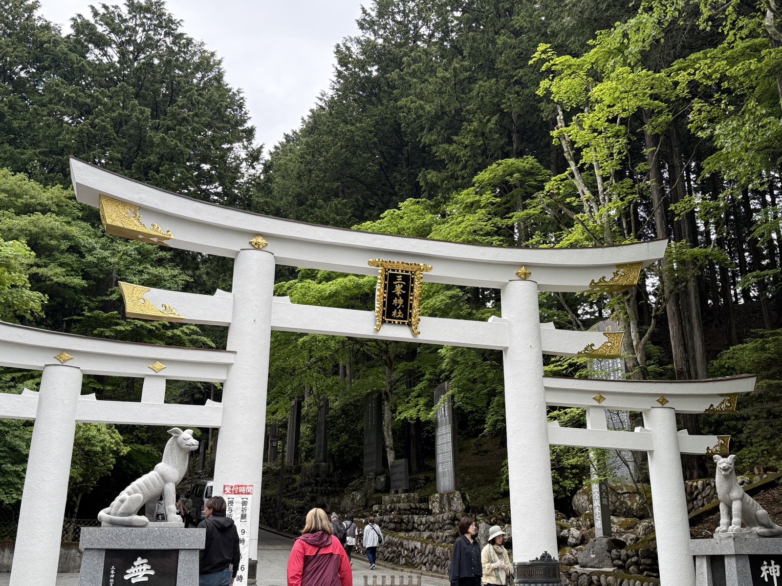 Large white torii and wolf statues