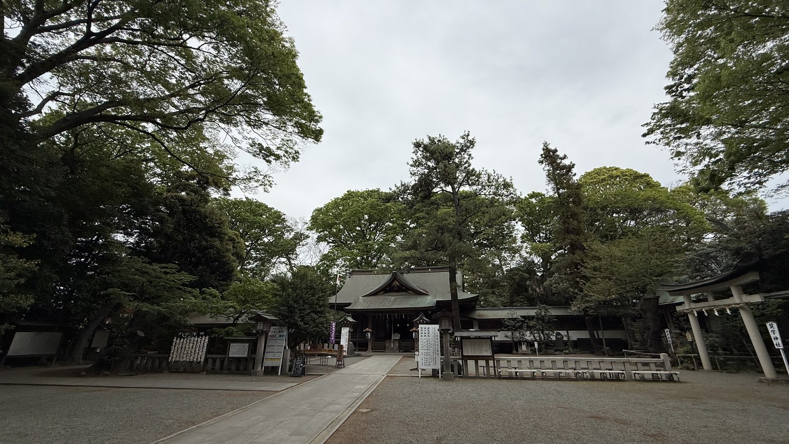 The broad gravel grounds, with the shrine buildings in the distance