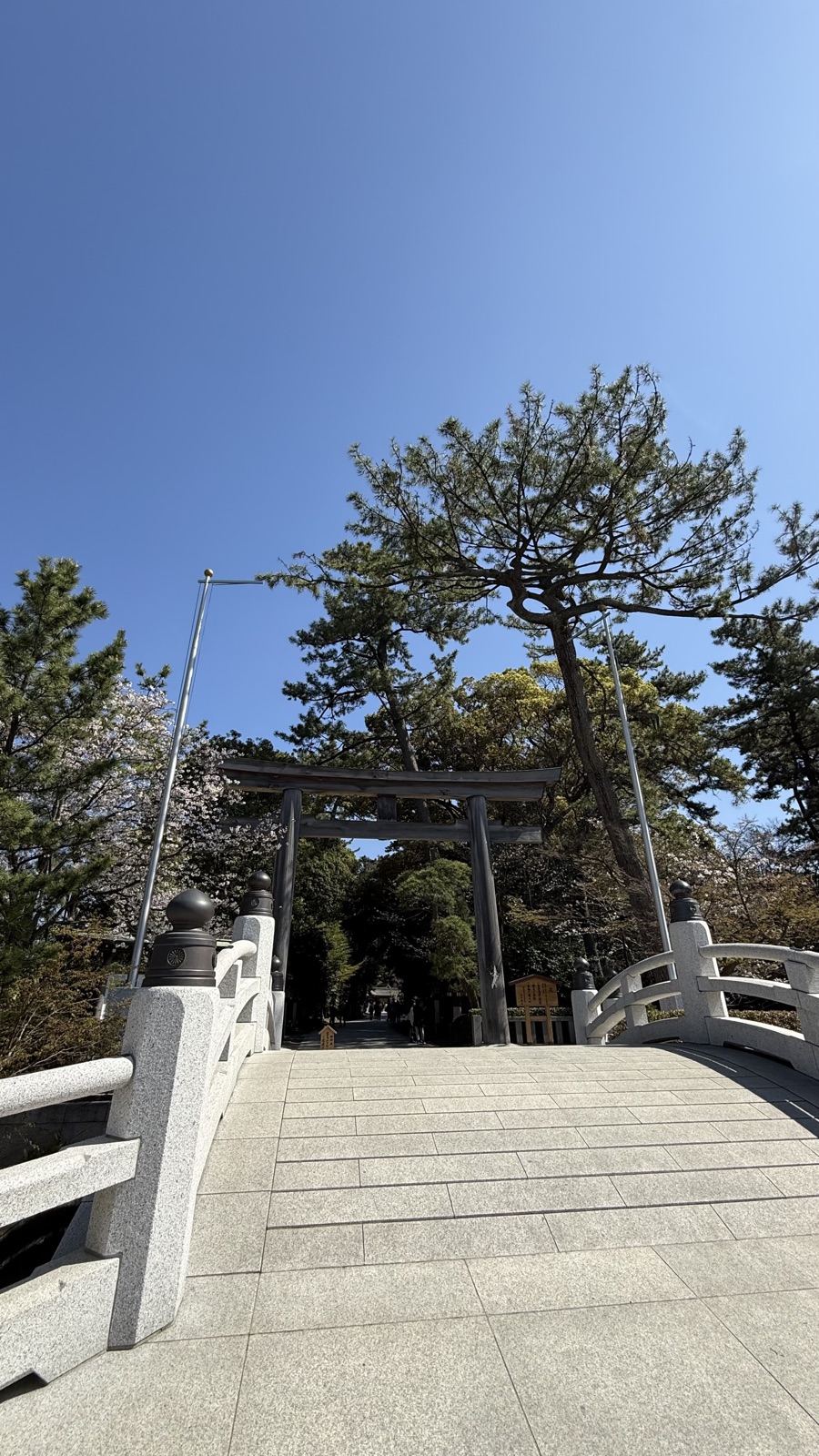 A torii beyond the sacred bridge