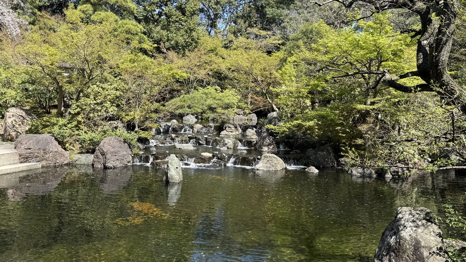 A small waterfall feeding the garden pond