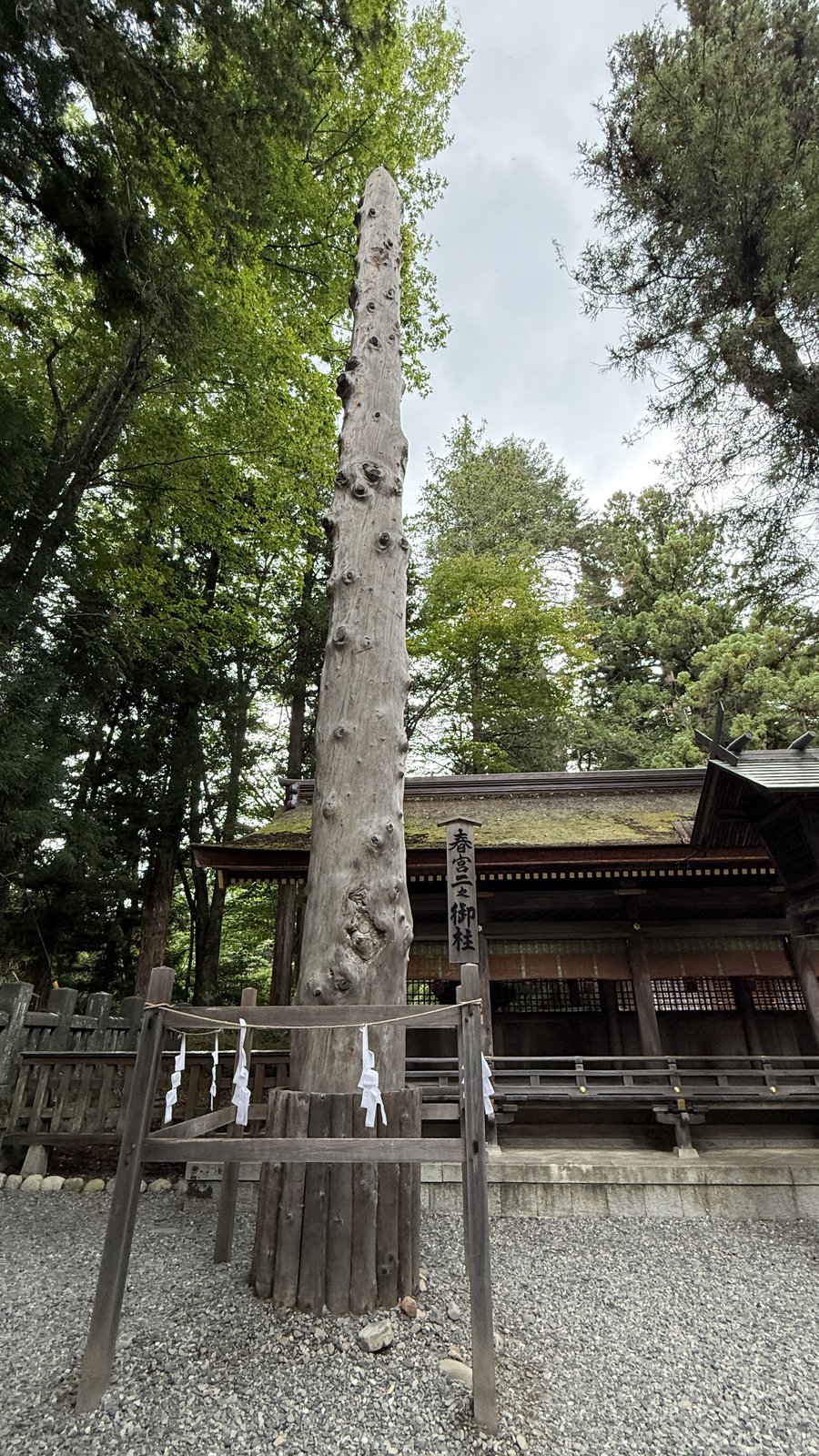 An onbashira at Harumiya