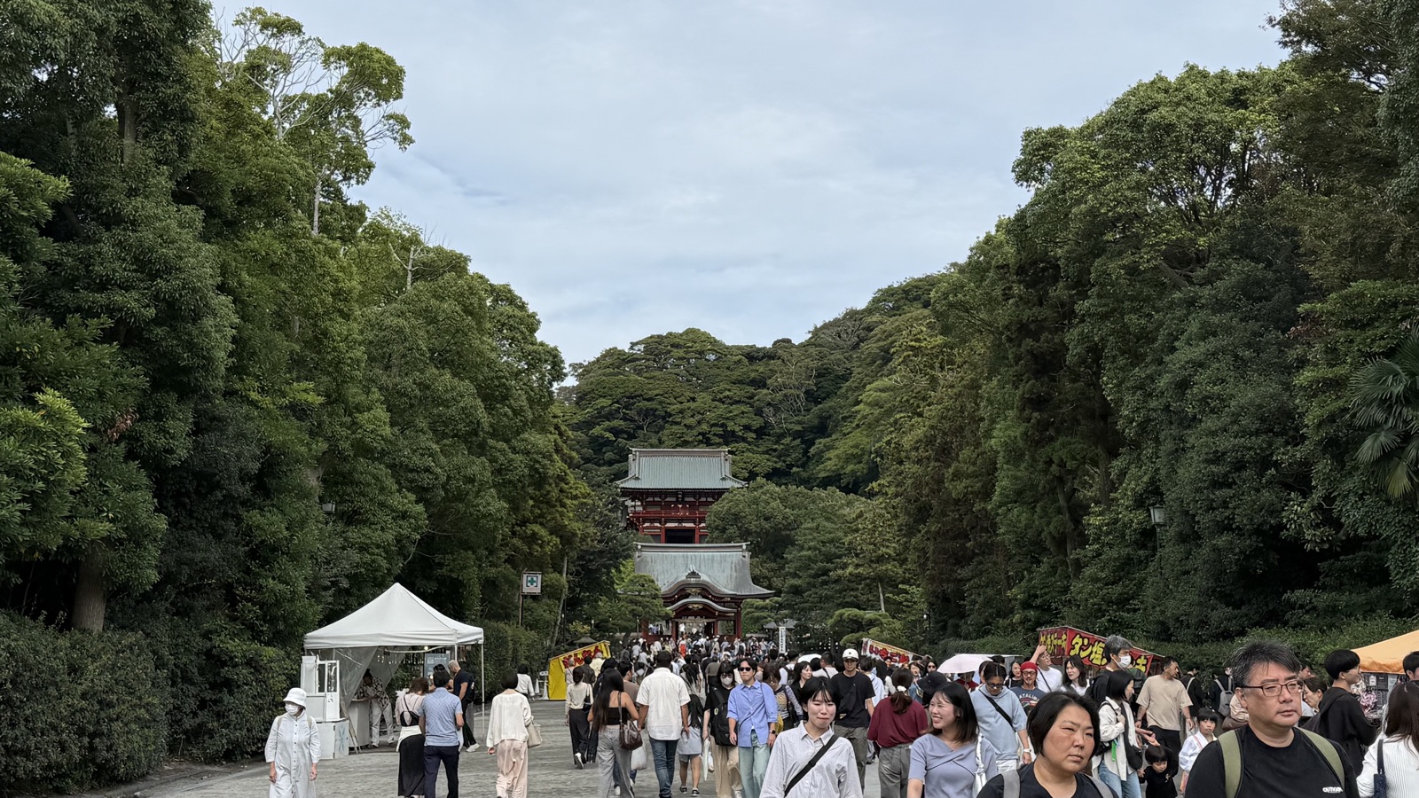 Dankazura approach