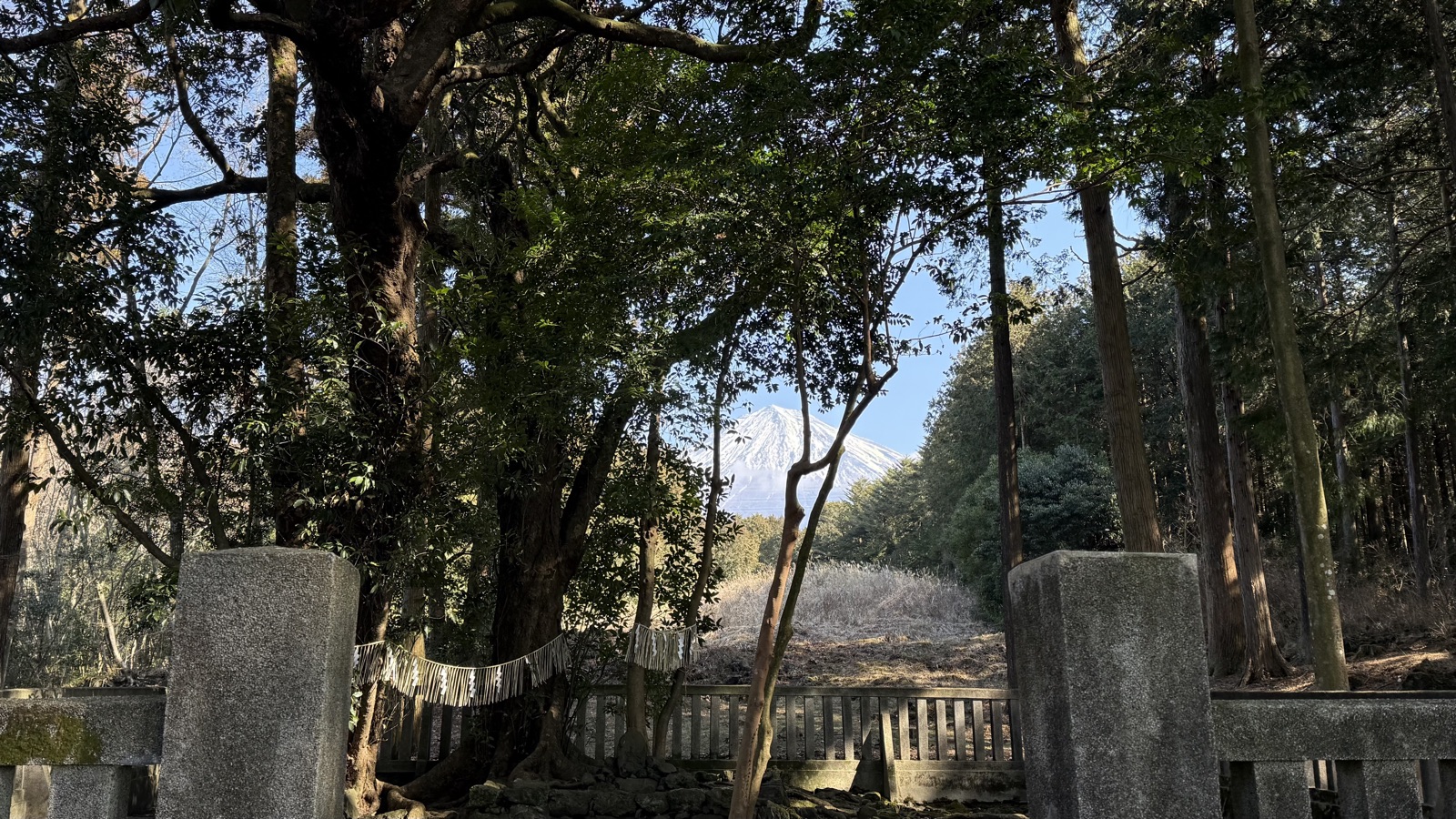 Mount Fuji and a shimenawa seen through the trees